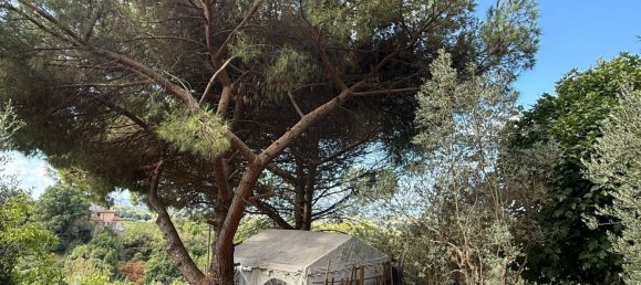 Grundstück in Manciano, Italy, Nr. 345083 6