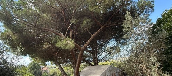 Grundstück in Manciano, Italy, Nr. 345083 4