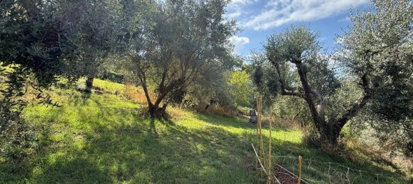Grundstück in Manciano, Italy, Nr. 345083 10