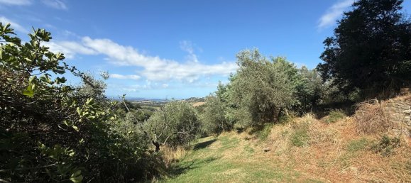 Grundstück in Manciano, Italy, Nr. 345083 15