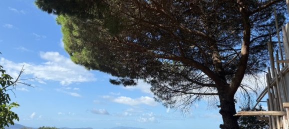 Grundstück in Manciano, Italy, Nr. 345083 8