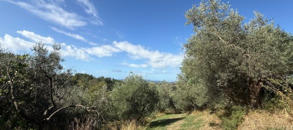 Grundstück in Manciano, Italy, Nr. 345083 12