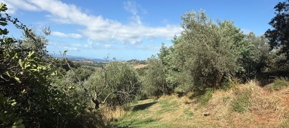 Grundstück in Manciano, Italy, Nr. 345083 16