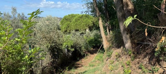 Grundstück in Manciano, Italy, Nr. 345083 21