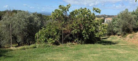 Grundstück in Manciano, Italy, Nr. 345083 20