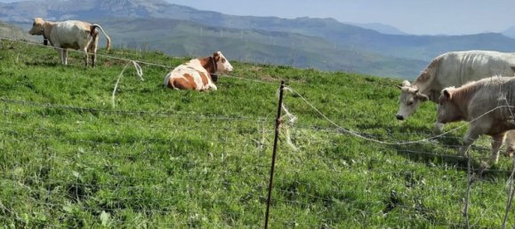 Terreno em Corleone, Italy 20000 m² N.º 256412 4