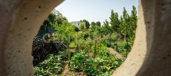 11 غرف نوم فيلا في Biancavilla, Italy رقم 323896 33