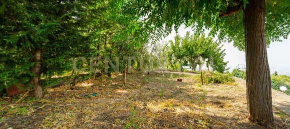 11 غرف نوم فيلا في Biancavilla, Italy رقم 323896 24