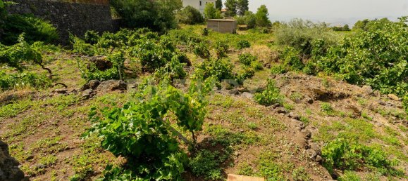 11 غرف نوم فيلا في Biancavilla, Italy رقم 323896 31