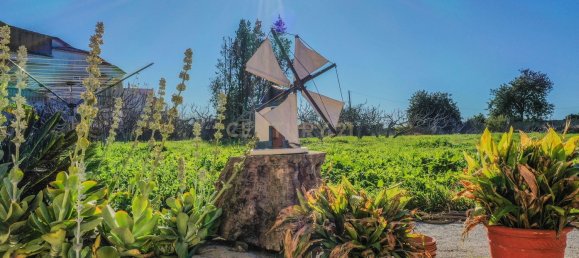 10 bedrooms House in Sao Bartolomeu de Messines, Portugal No. 120872 42