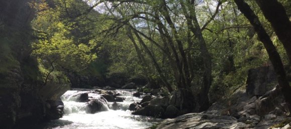 6 Schlafzimmer Haus in Pedrogao Grande, Portugal, Nr. 140847 23