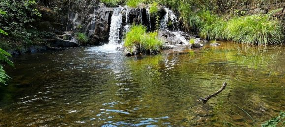 6 Schlafzimmer Haus in Pedrogao Grande, Portugal, Nr. 140847 30