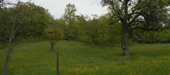 6-Zimmer Villa in Cantalupo Ligure, Italy, Nr. 232299 27