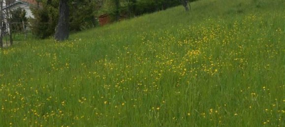 6-Zimmer Villa in Cantalupo Ligure, Italy, Nr. 232299 34