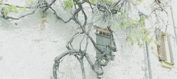 6-Zimmer Villa in Cantalupo Ligure, Italy, Nr. 232299 26