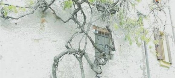 6-Zimmer Villa in Cantalupo Ligure, Italy, Nr. 232299 11