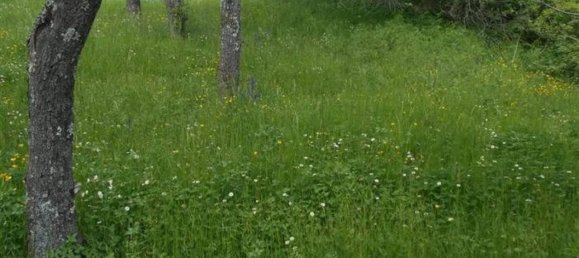 6-Zimmer Villa in Cantalupo Ligure, Italy, Nr. 232299 4