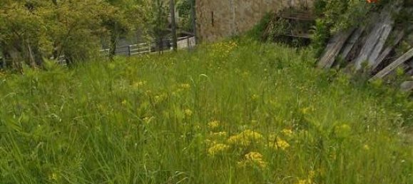 6-Zimmer Villa in Cantalupo Ligure, Italy, Nr. 232299 28