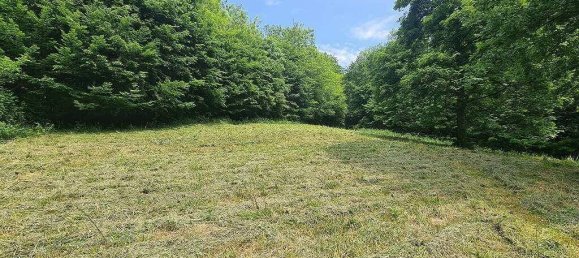  Land in Penzing, Austria No. 126081 7