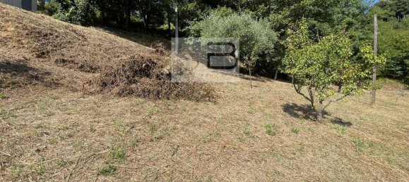 7 bedrooms Villa in Camaiore, Italy No. 380227 29