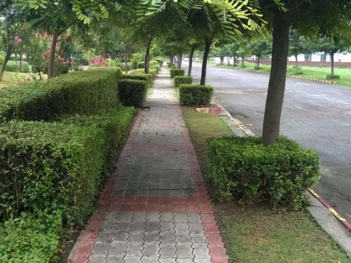 Terreno en Mohali, India No. 31966