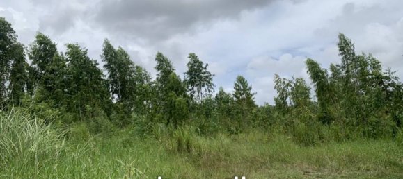 15424m² Commercial property in Bang Sare, Thailand No. 15612 3