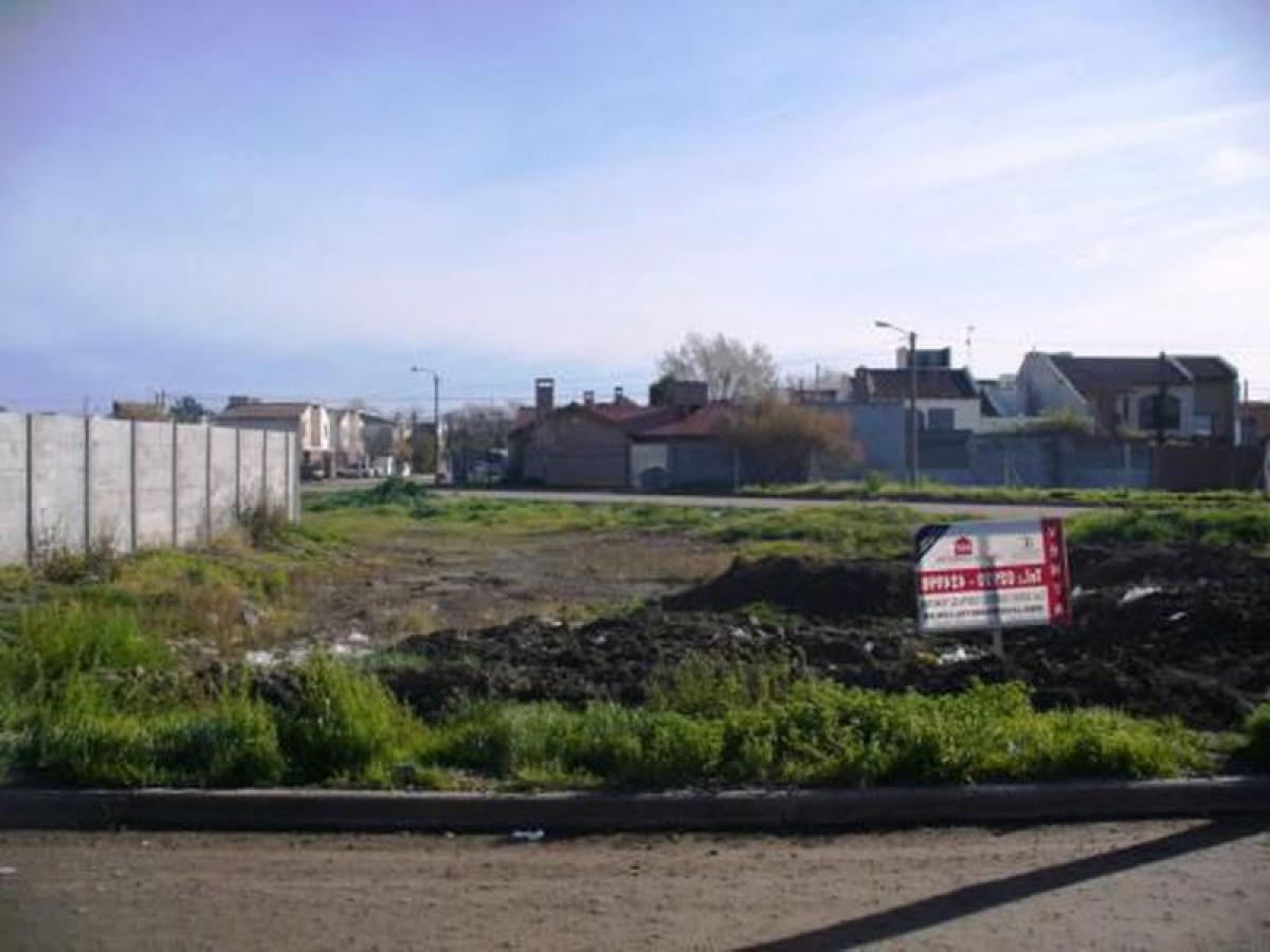  Land in Rio Negro, Argentina No. 45881