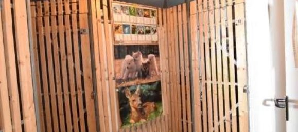 Дуплекс с 2 спальнями в Цвиккау, Германия № 222486 5