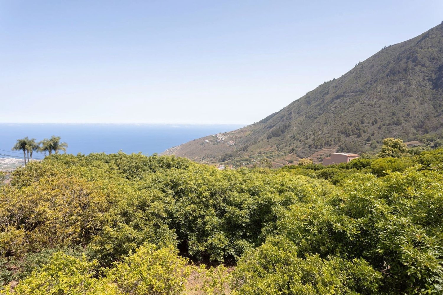 4 bedrooms House in La Orotava, Spain No. 193093