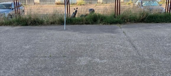 3 bedrooms Apartment in Zaragoza, Spain No. 159196 18