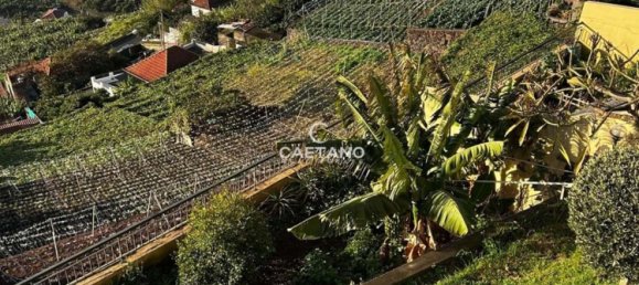 3 bedrooms Villa in Camara de Lobos, Portugal No. 112902 21