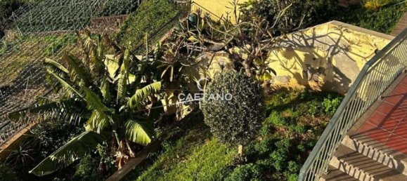 3 bedrooms Villa in Camara de Lobos, Portugal No. 112902 22