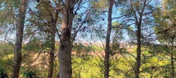 5 bedrooms House in Alicante, Spain No. 164083 48