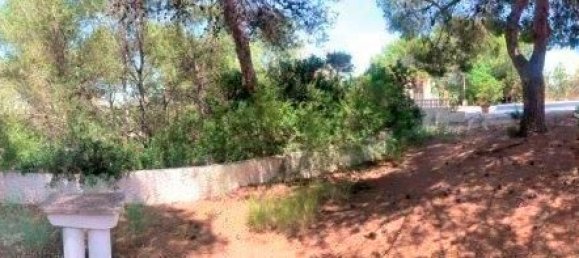 5 bedrooms House in Alicante, Spain No. 164083 12