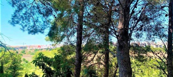 5 bedrooms House in Alicante, Spain No. 164083 47