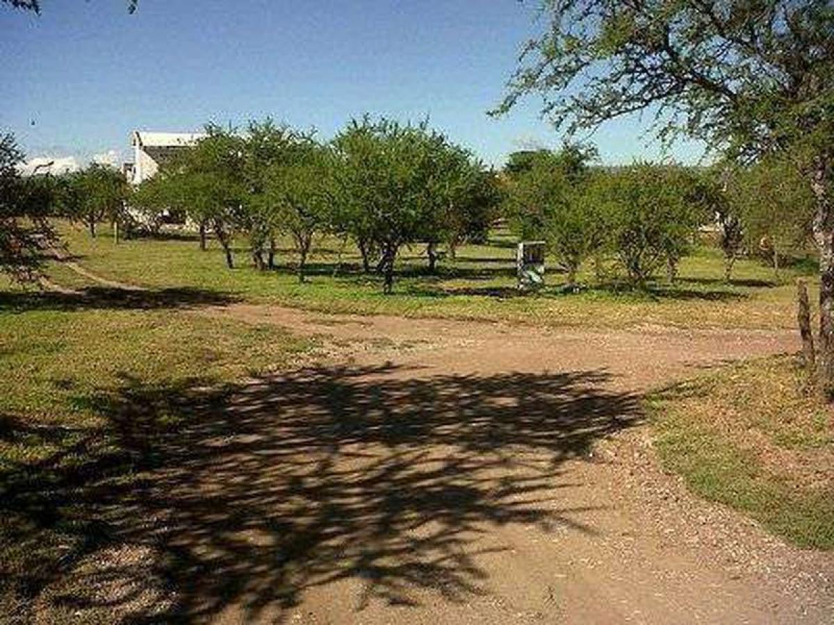 Terrain à Cordoba, Argentina No. 31755