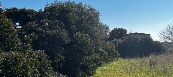  Land in Civitavecchia, Italy No. 74767 3