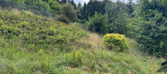 5 bedrooms House in Erzgebirgskreis, Germany No. 264651 4