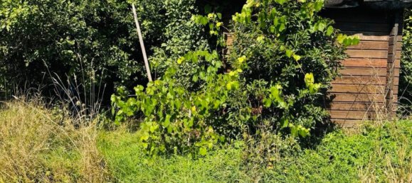  Land in Pforzheim, Germany No. 333293 5