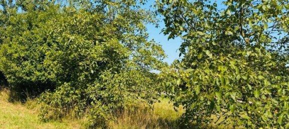  Land in Pforzheim, Germany No. 333293 7