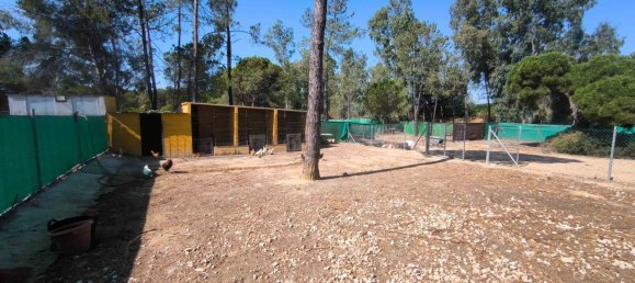 Casa de 5 dormitorios en Huelva, Spain No. 173082 11