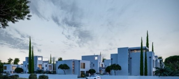 4 rooms Villa in Paphos, Cyprus No. 2639 5