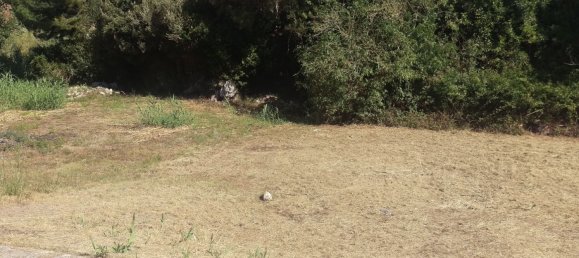 قطعة أرض في Maratea, Italy 400متر مربع رقم 78476 5