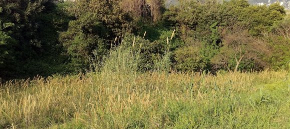 قطعة أرض في Maratea, Italy 400متر مربع رقم 78476 2