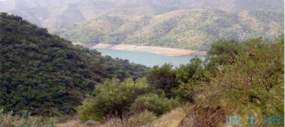 6 غرف نوم فيلا في Marbella, Spain رقم 9900 8