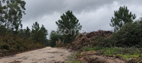  Land in Caxarias, Portugal No. 148836 4