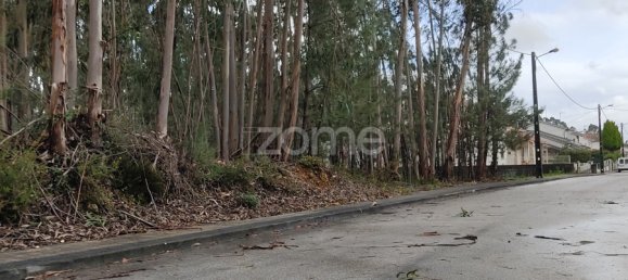  Land in Caxarias, Portugal No. 148836 13