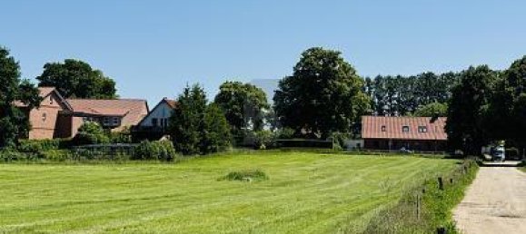 Terreno en Ludwigslust-Parchim, Germany 8000 m² No. 242729 4