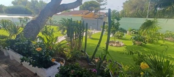 3 bedrooms Villa in Dehesa De Campoamor, Spain No. 184794 34