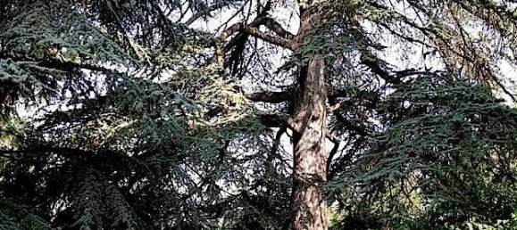 Villa T6 em Salsomaggiore Terme, Italy N.º 214190 29